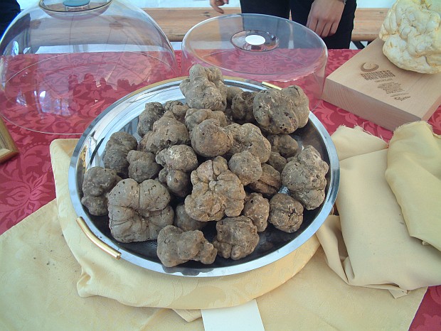 Weiße Trüffel aus Kroatien