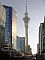 The Auckland Sky Tower