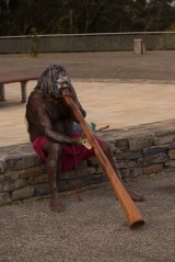 Aboriginal_playing_Didgeridoo