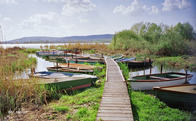 Balaton