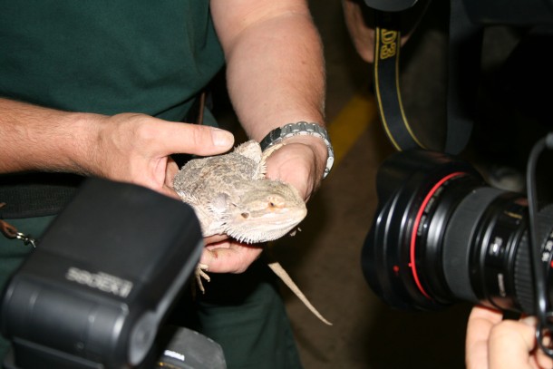 Bartagame__c__Andreas_Eistert_WWF
