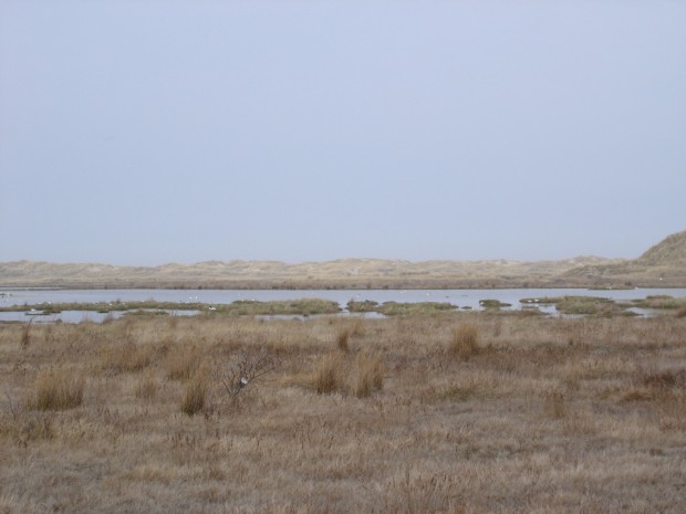 Borkum_Wattenmeer