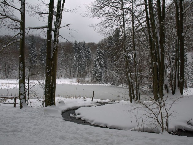 Der_Frau-Holle-Teich_auf_dem_Meiner_im_Winter