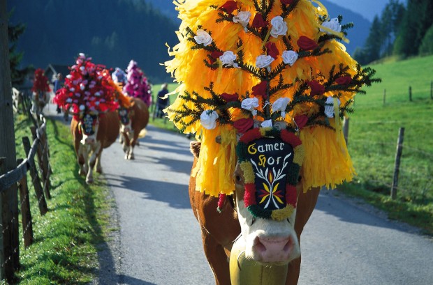 Kitzbueheler_Alpen_Brixental