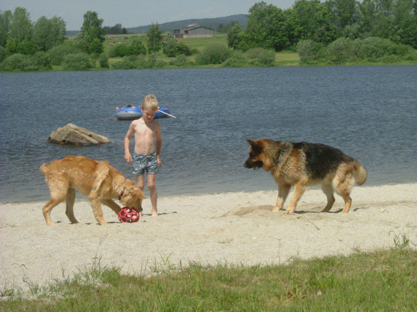 MF_Hundehotel_Bergfried_Hunde-Kind_06-2009_PR