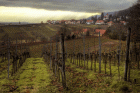 Rheinland_Pfalz_klein