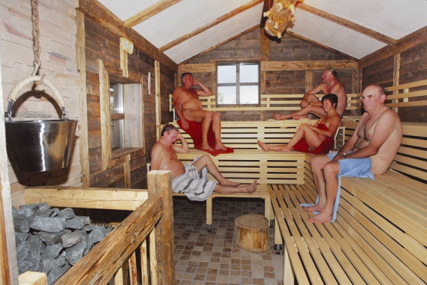 Waidler-Sauna
