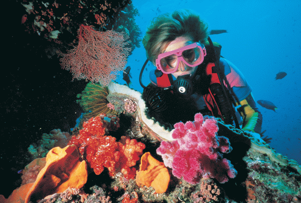 great_barrier_reef