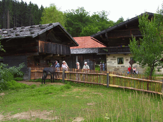 museumsdorf-esel